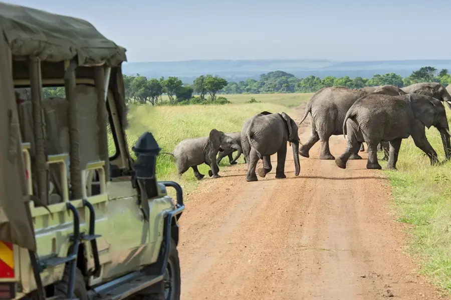 Trekking Safari in Afrika zwischen Elefanten in der Savanne
